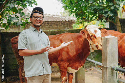 Smiling young Asian Muslim man presenting the livestock cows for sacrifices behind him. Eid Al Adha concept.