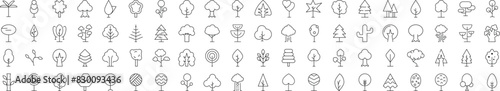 Signs of Forest, Wood, Trees for Shops and Stores. Suitable for books, stores, shops. Editable stroke in minimalistic outline style. Symbol for design