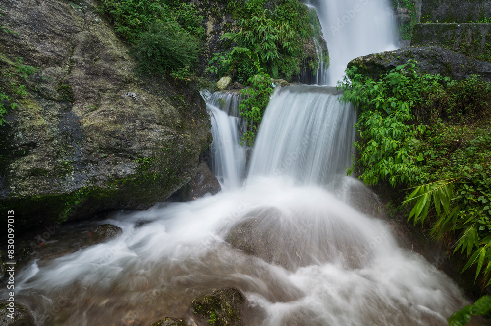 Obraz premium Beautiful Paglajhora waterfall on Kurseong, Himalayan mountains of Darjeeling, West Bengal, India. Origin of Mahananda River flowing through Mahananda Wildlife Sanctuary, Siliguri and Jalpaiguri.