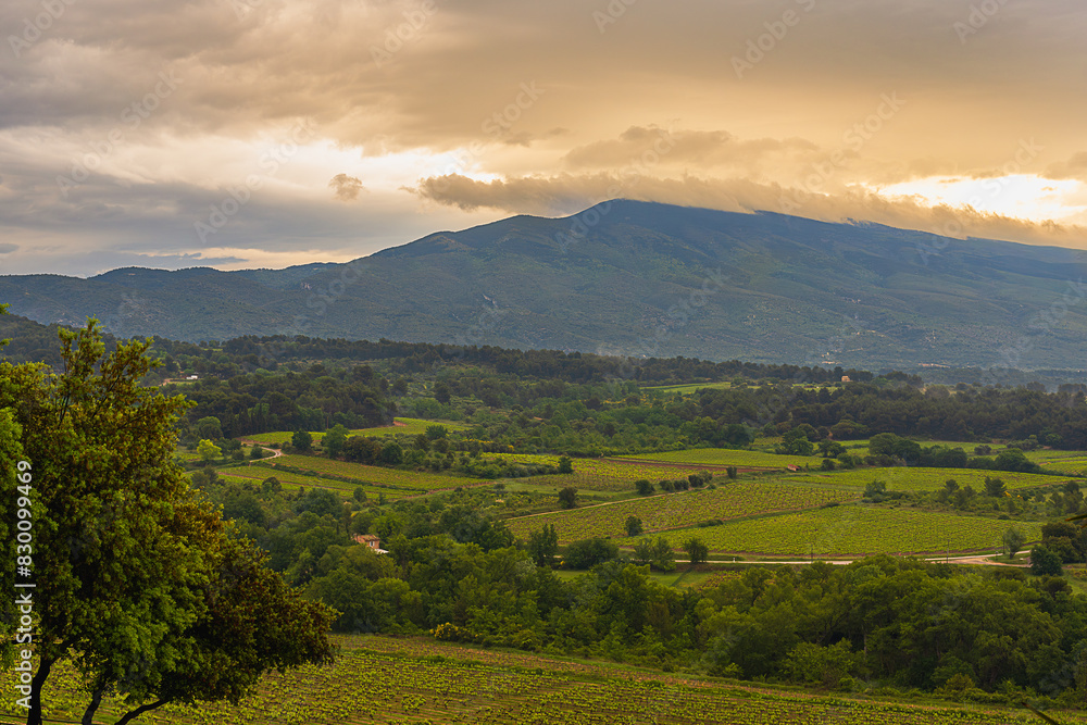2024-05-14 LUSH COUNTRY SIDE IN THE BEDOIN AREA OF PROVENCE FRANCE WITH A VIEW OF A GREEN VALLEY AND CLOUD COVERED MOUNT VONTOUX 2024-05-14 LUSH COUNTRY SIDE IN THE BEDOIN AREA OF PROVENCE FRANCE WITH A VIEW OF A GREEN VALLEY AND CLOUD COVERED MOUNT VONTOUX