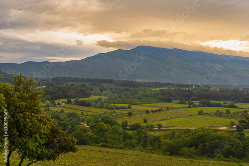 2024-05-14 LUSH COUNTRY SIDE IN THE BEDOIN AREA OF PROVENCE FRANCE WITH A VIEW OF A GREEN VALLEY AND CLOUD COVERED MOUNT VONTOUX