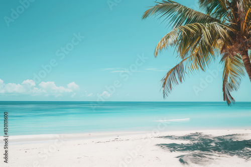 Realistic vibrant photo of a paradise beach  turquose ocean and palm tree  empty space for text  vibrant summer tropical vibe