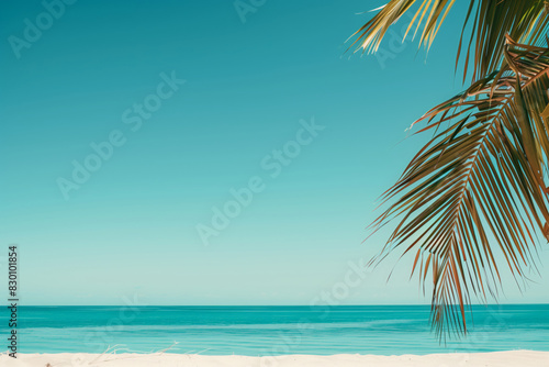 Realistic vibrant photo of a paradise beach  turquose ocean and palm tree  empty space for text  vibrant summer tropical vibe