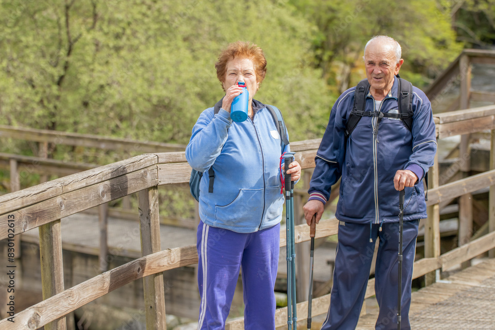 senior couple hiking outdoors in nature senior couple hiking outdoors in nature