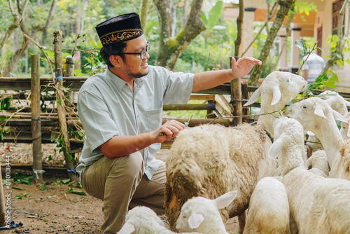Young Asian Muslim man touching goat and giving out grass to feed the livestocks, preparing for sacrifices. Eid Al Adha concept. photo