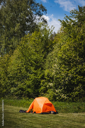 Immerse yourself in peaceful camping in an orange tent in a lush green forest during spring. Reconnect with nature  experience serenity and tranquility amidst the trees