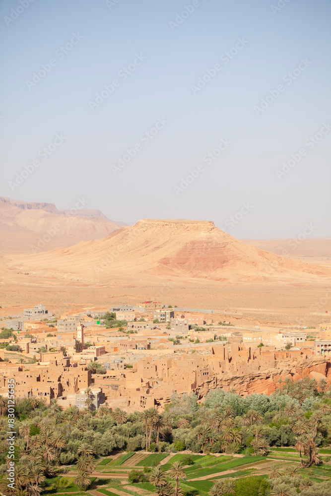 Orchard, village and desert. Southern Morocco.