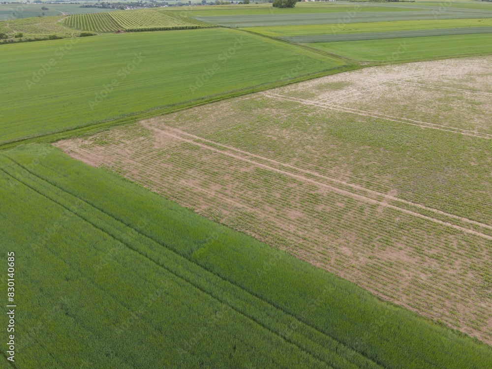 Obraz premium Aerial view of fields in spring