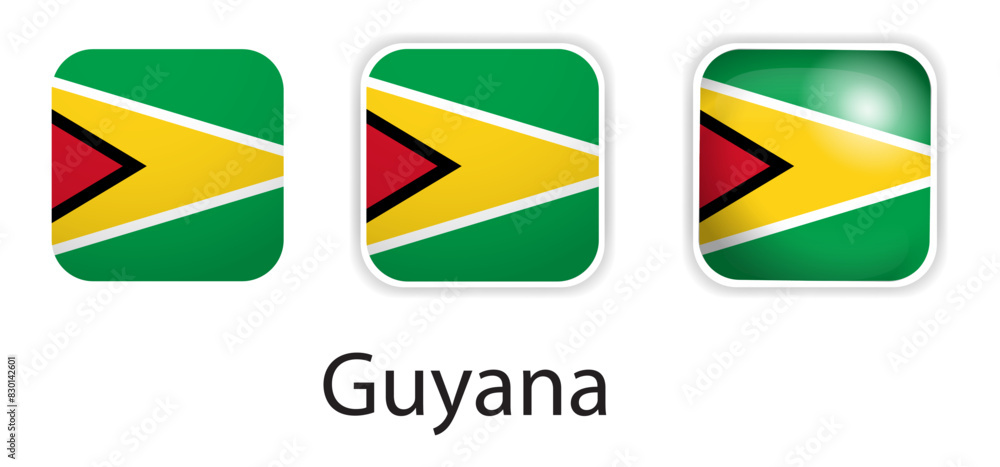 Fototapeta premium Guyana flag vector icons set in the shape of rounded square