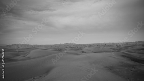 Desert  Landscape photo