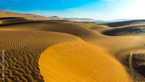 Desert  Landscape