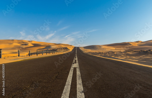 Desert  Landscape