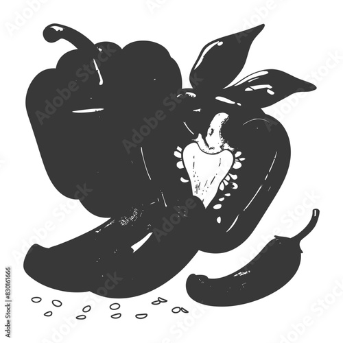 Bell Pepper or Paprika sliced full with engraving sketch style