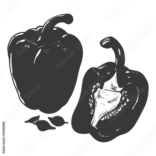 Bell Pepper or Paprika sliced full with engraving sketch style