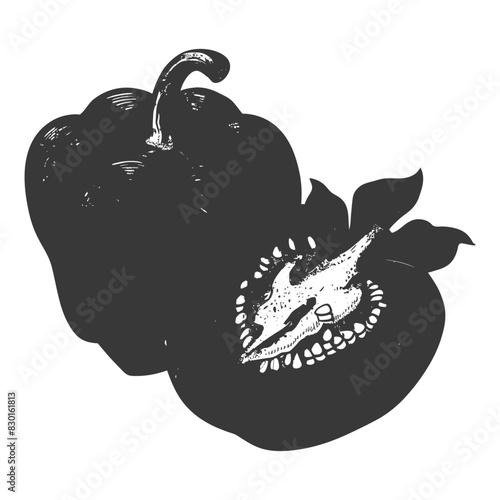 Bell Pepper or Paprika sliced full with old engraving sketch style