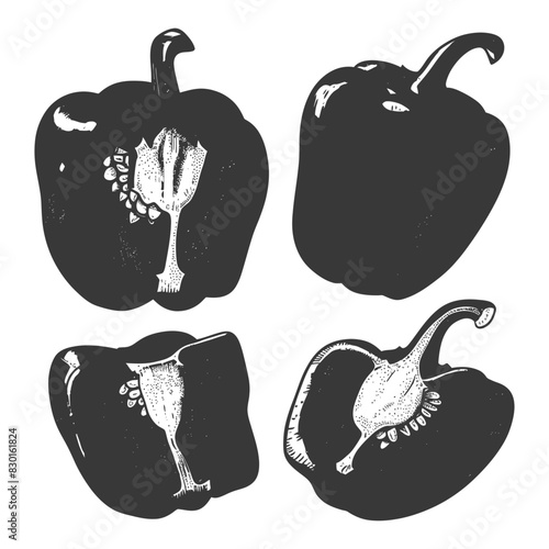 Bell Pepper or Paprika sliced full with old engraving sketch style
