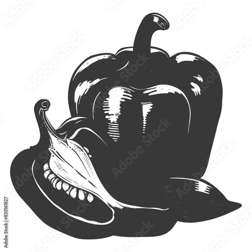 Bell Pepper or Paprika sliced full with old engraving sketch style