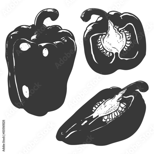 Bell Pepper or Paprika sliced full with old engraving sketch style