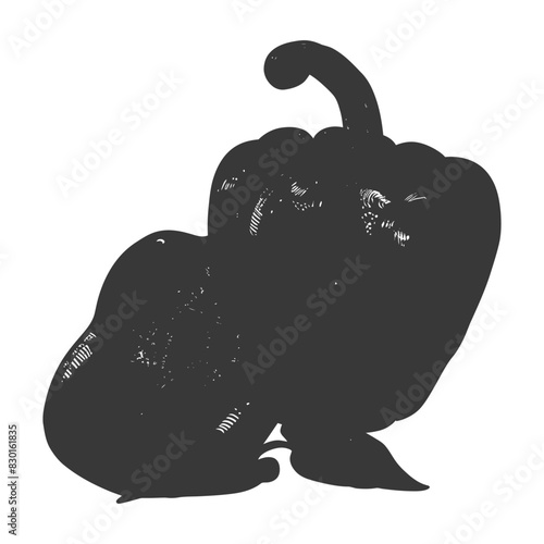 Bell Pepper or Paprika sliced full with old engraving sketch style