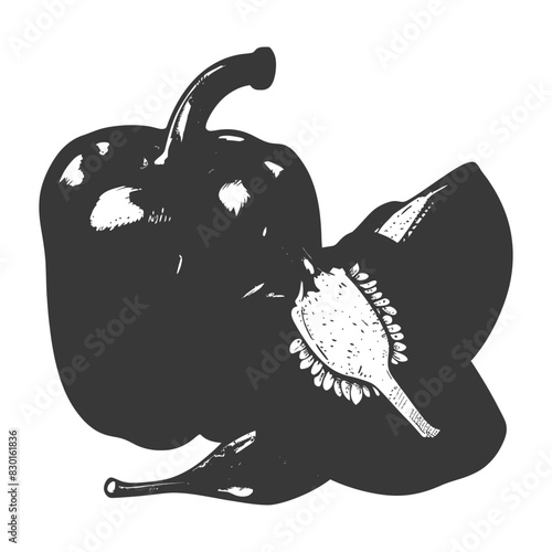 Bell Pepper or Paprika sliced full with old engraving sketch style