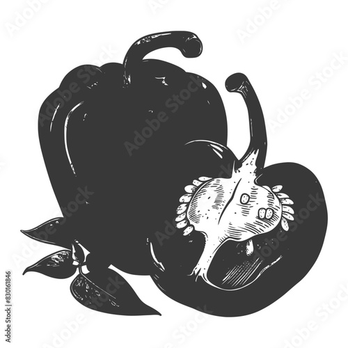 Bell Pepper or Paprika sliced full with old engraving sketch style