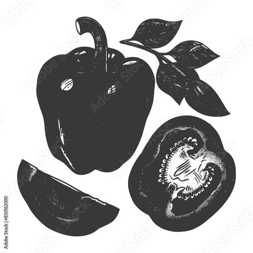 Bell Pepper or Paprika sliced full with old engraving sketch style