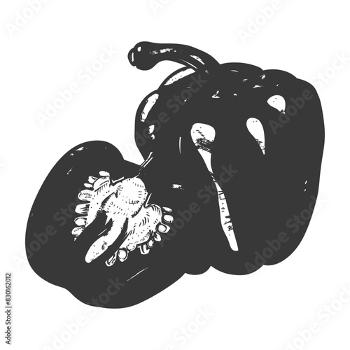 Bell Pepper or Paprika sliced full with old engraving sketch style