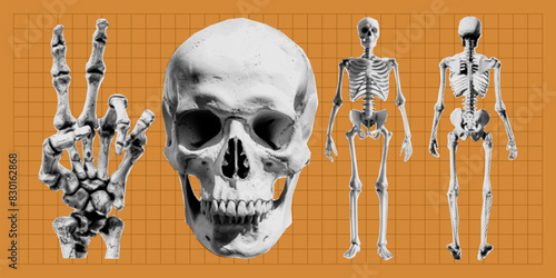 Halftone Human Skull and Skeleton. Contemporary clip art shapes with dotted effect in a futuristic bitmap style. Grunge punk Y2K elements for collage design, t-shirts, posters