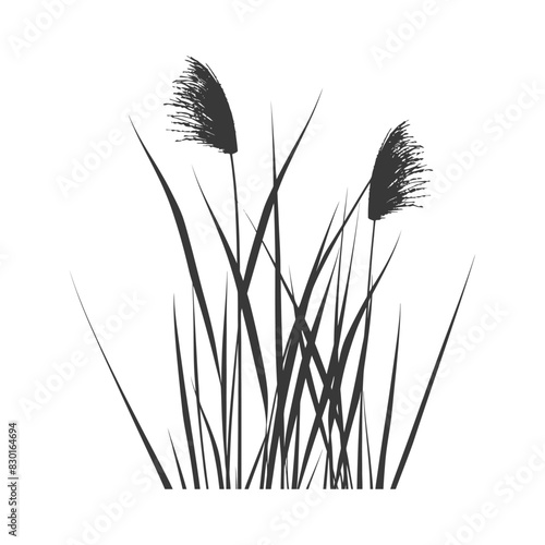 Silhouette black water reed plan cattails leaf black color only
