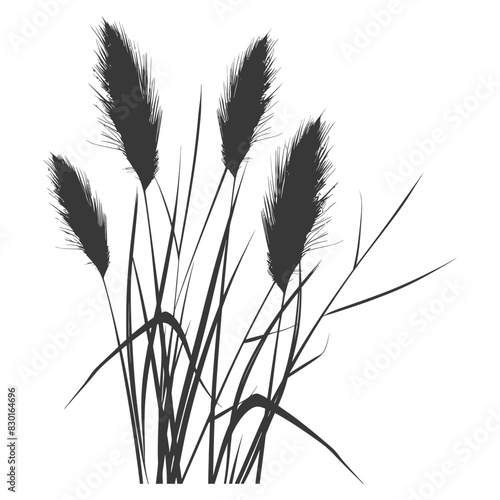 Silhouette black water reed plan cattails leaf black color only