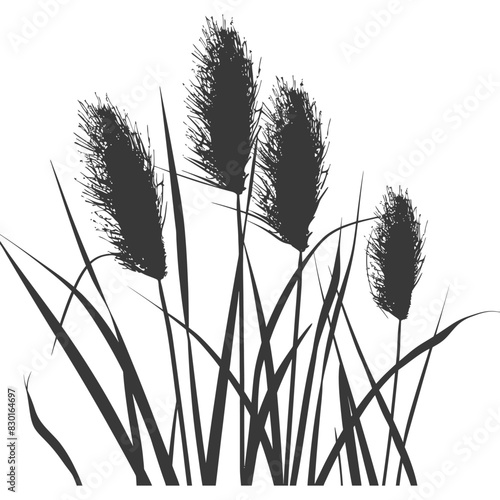 Silhouette black water reed plan cattails leaf black color only