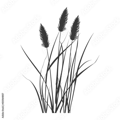 Silhouette black water reed plan cattails leaf black color only
