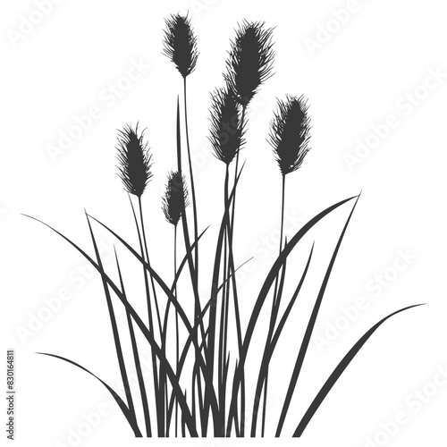 Silhouette black water reed plan cattails leaf black color only