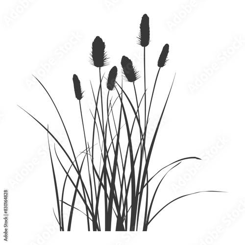 Silhouette black water reed plan cattails leaf black color only