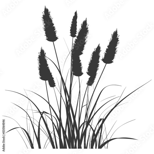 Silhouette black water reed plan cattails leaf black color only