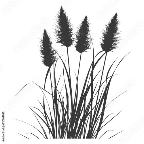 Silhouette black water reed plan cattails leaf black color only