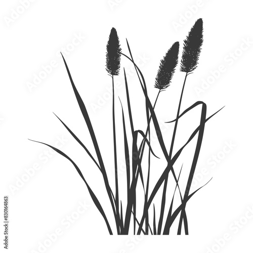 Silhouette black water reed plan cattails leaf black color only