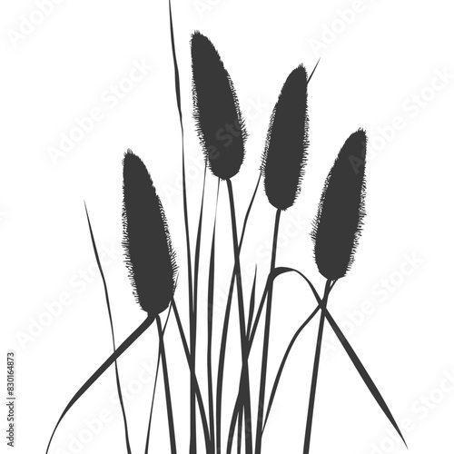 Silhouette black water reed plan cattails leaf black color only