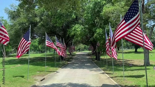 Veterans Day Memorial Flags, honoring our veterans. 