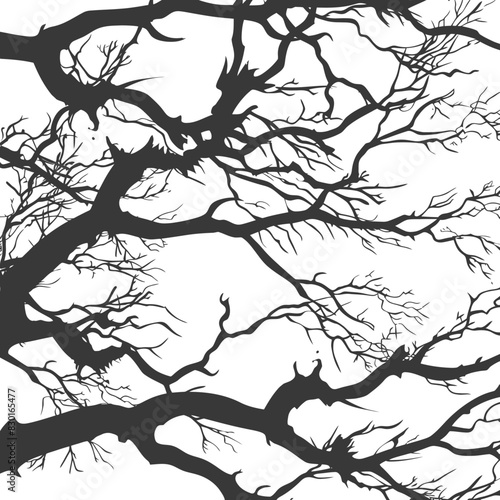 Silhouetted Branch Network: Dense Abstract Tree Limbs Against White Background