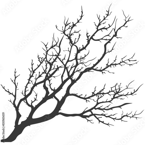 Bare Tree Silhouette: Windswept Branches, Stark Winter Minimalism