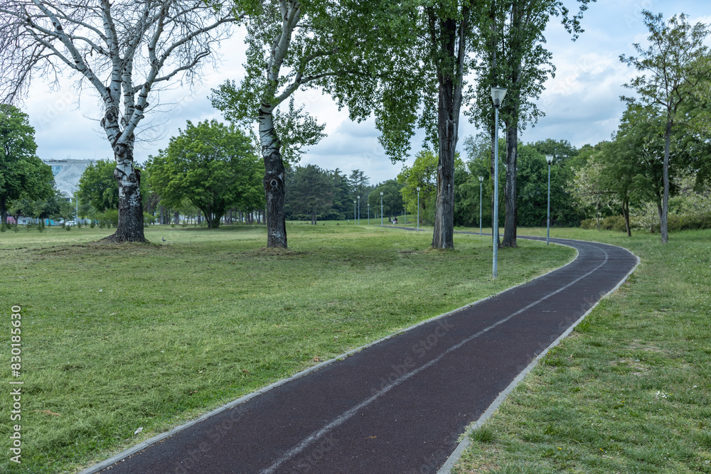 A serene park scene featuring a black asphalt jogging track surrounded by lush green grass and a variety of trees, including birch trees. A serene park scene featuring a black asphalt jogging track surrounded by lush green grass and a variety of trees, including birch trees.