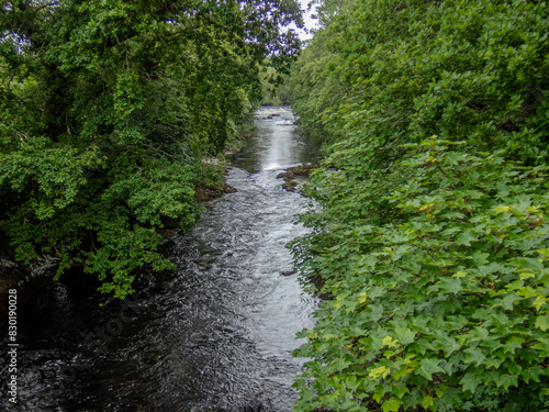 River Dart  Devon.