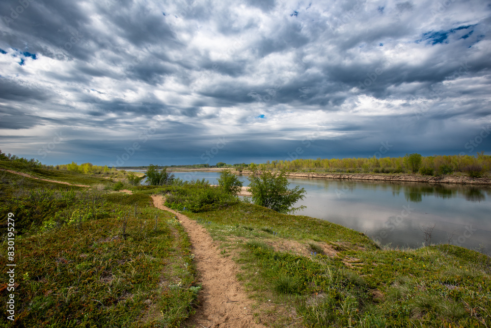 Spring day at Cranberry Flats Conservation Area