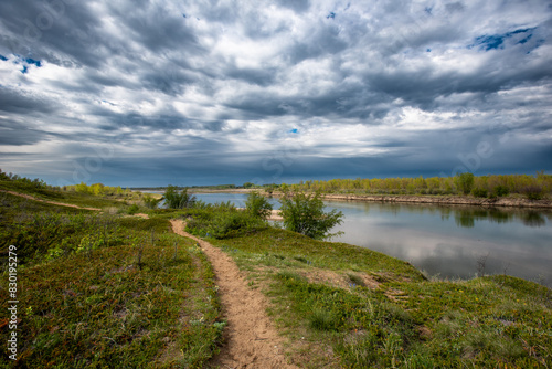 Spring day at Cranberry Flats Conservation Area