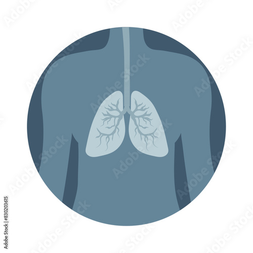 X-ray lungs in human