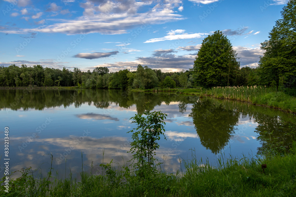 Clouds before sunset reflected in pond water Clouds before sunset reflected in pond water