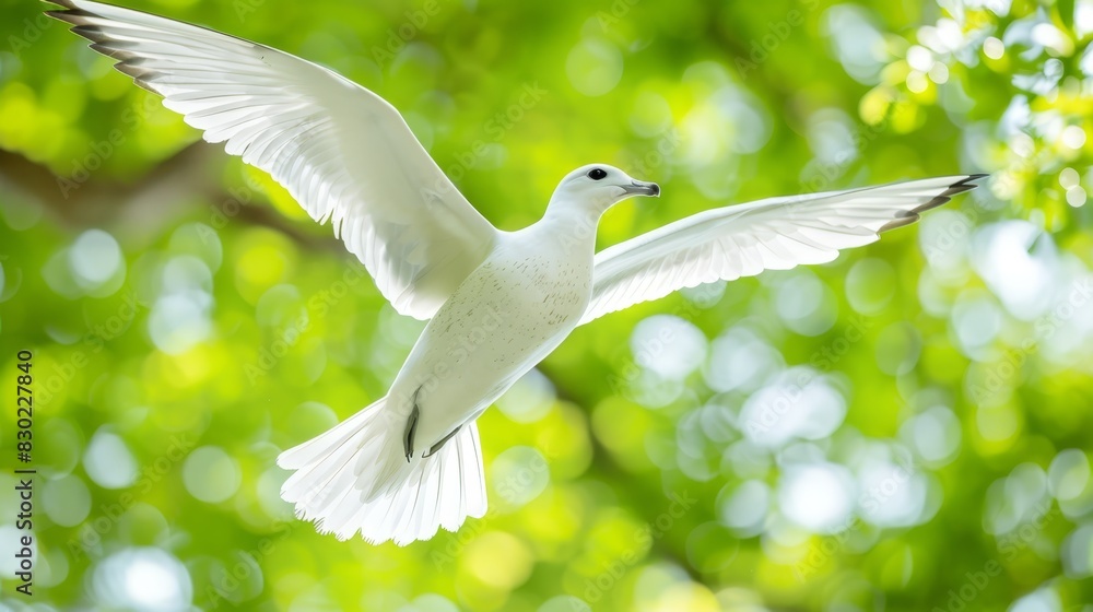 A white bird flies against a backdrop of trees with wide-open wings The tree is filled with green leaves, while the foreground features a blur of leafy foliage A white bird flies against a backdrop of trees with wide-open wings The tree is filled with green leaves, while the foreground features a blur of leafy foliage