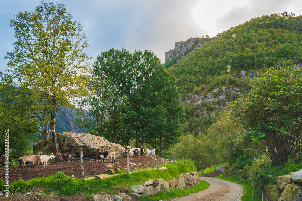 Landscape at the south of Norway (near Stavanger)