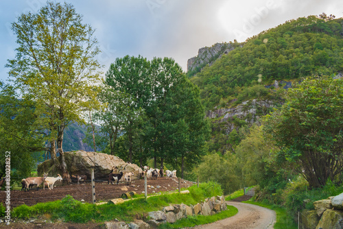 Obraz na płótnie Landscape at the south of Norway (near Stavanger) w salonie